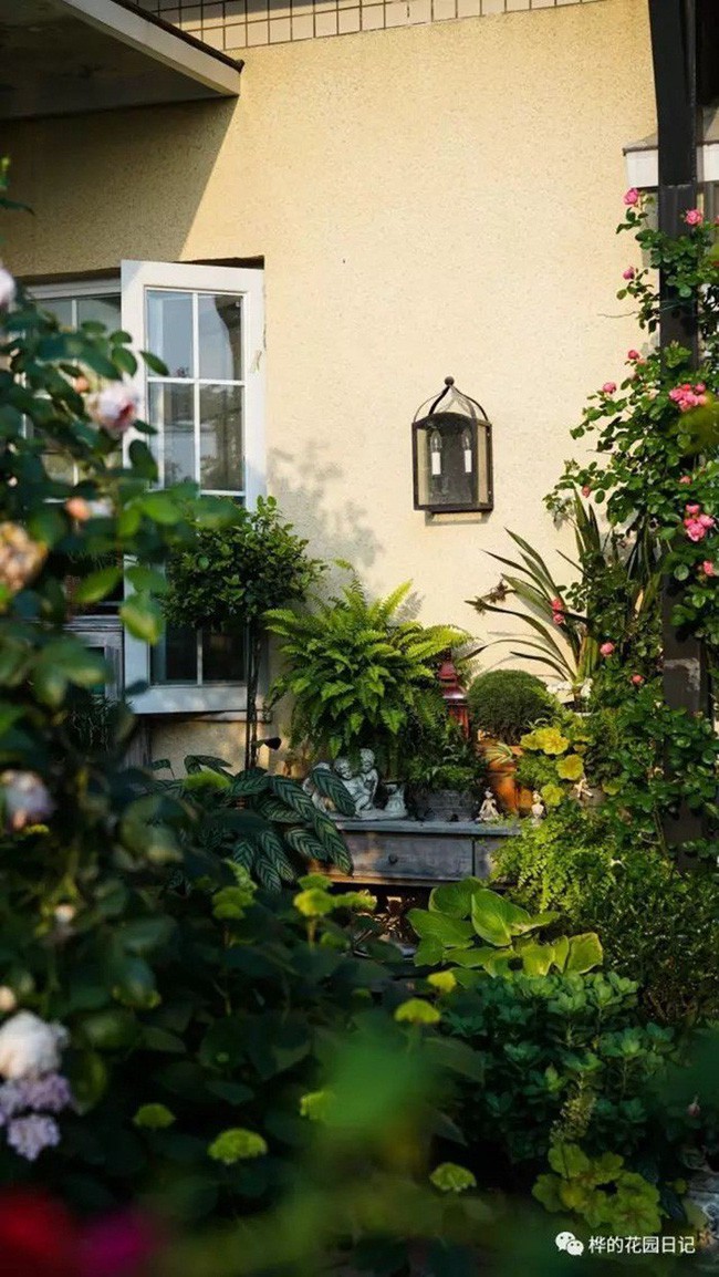 Không gian xanh mát.