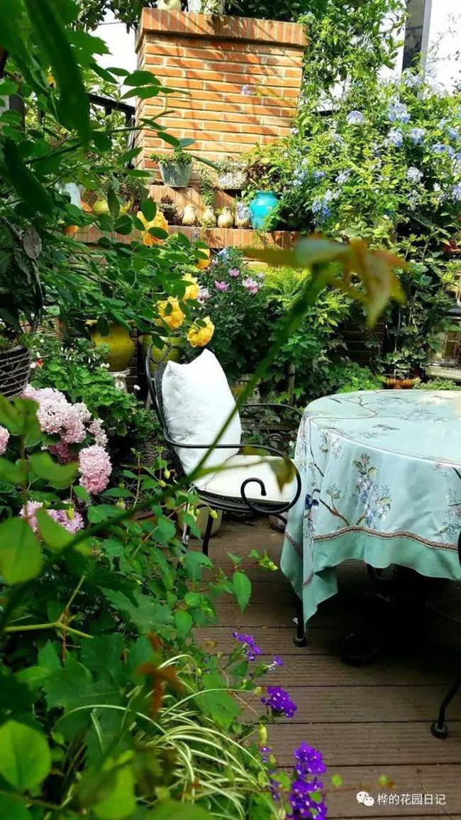 Mỗi góc nhỏ đều vô cùng đặc biệt và mới lạ nhờ những loài hoa đua nhau khoe sắc cùng cách bài trí sáng tạo.