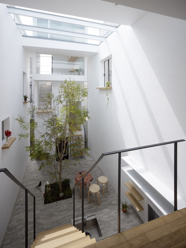 Khoảng giếng trời kiêm sân vườn là điểm nhấn trong ngôi nhà.