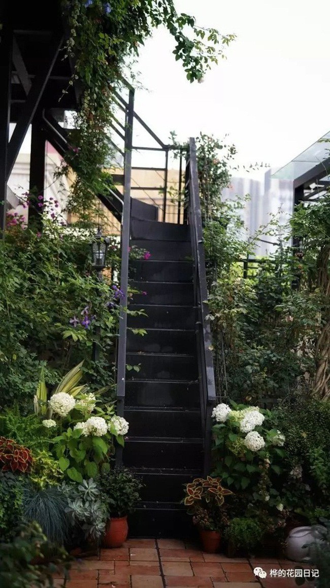 Cầu thang lên tầng 2 của sân thượng.