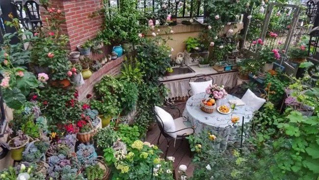 Các tầng cây được phân bố khéo léo.