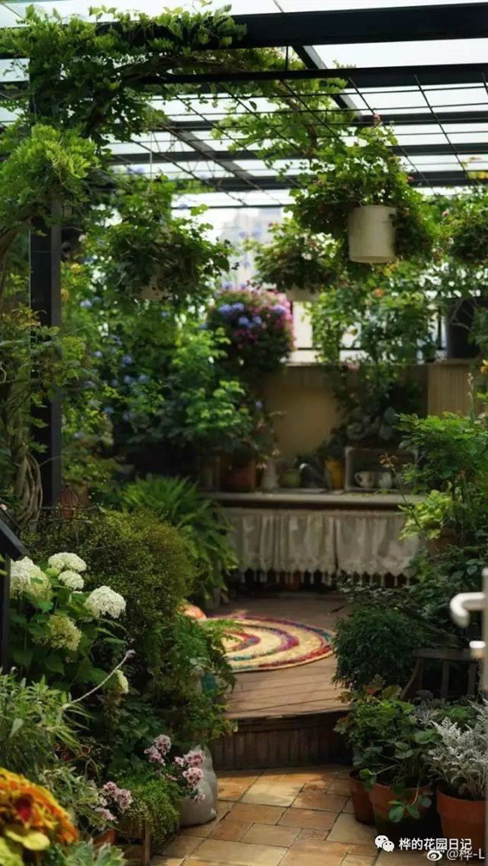 Mỗi loài hoa đều mang đến vẻ đẹp của mùa xuân.