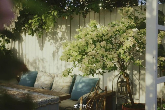 Góc vườn đẹp lãng mạn.