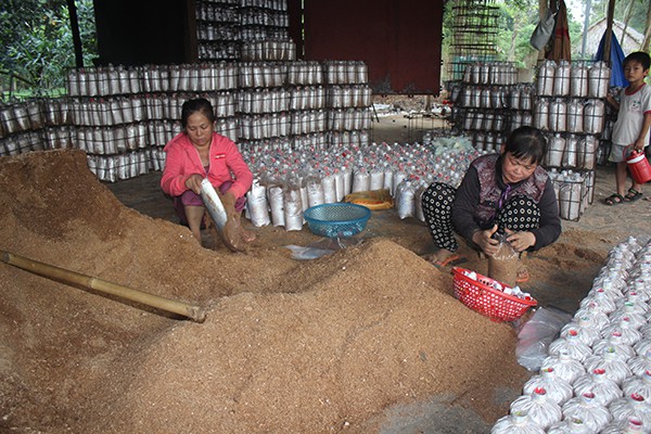 
Nông dân đóng bịch nấm chuẩn bị cho vụ mới tại xã Suối Nho (huyện Định Quán).
