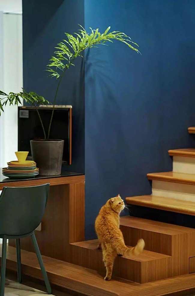 Không gian ngập tràn ánh sáng tự nhiên, đủ để những màu tối có thể bừng lên vẻ đẹp duyên dáng và sắc nét của mình.