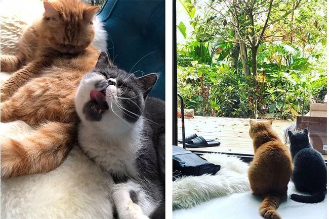 Hai thành viên nhí.