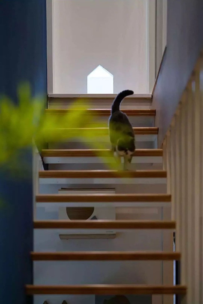 Màu gỗ được xem là màu nhấn của không gian hiện đại với cách chơi màu táo bạo này.