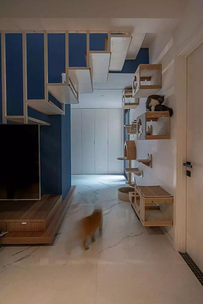 Góc vui chơi của những người bạn nhỏ.