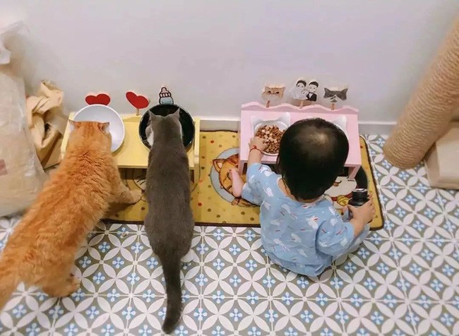 Các thành viên nhí trong nhà.