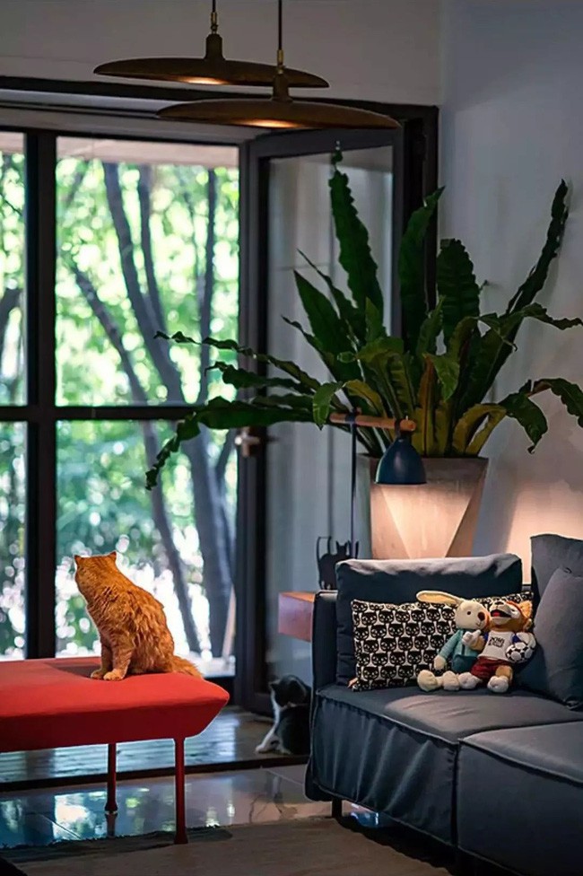 Góc cửa sổ với những tông màu cá tính nhất, kèm theo ánh sáng vàng cho không gian thêm đầm ấm.