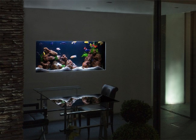 10. Bạn cứ thử tượng tượng cảnh ngôi nhà bạn chìm trong màn đêm đen tối, chỉ có mỗi bể cá với các chú cá bơi tung tăng lại còn sáng lạng lên như thế này, thật tuyệt vời đúng không.