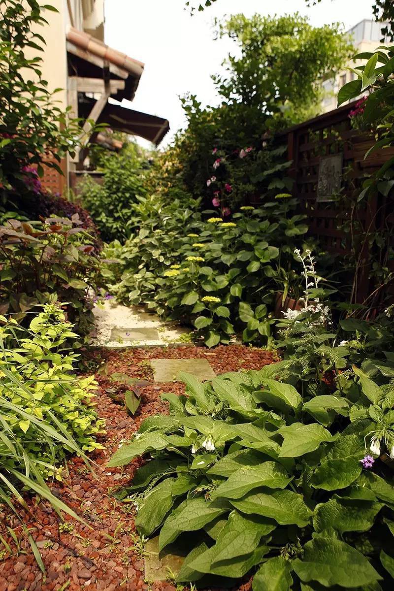 Lối vào vườn với từng bậc đá và sỏi đẹp mắt.