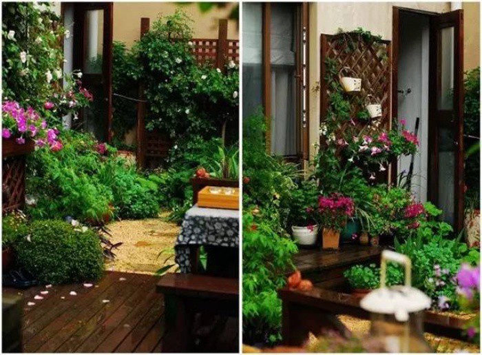 Khu vườn chỉ rộng chừng 50m2.