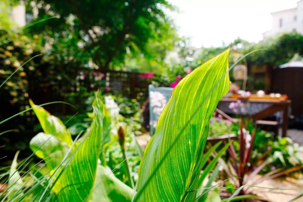 Mỗi góc nhỏ đều đẹp như một bức tranh.