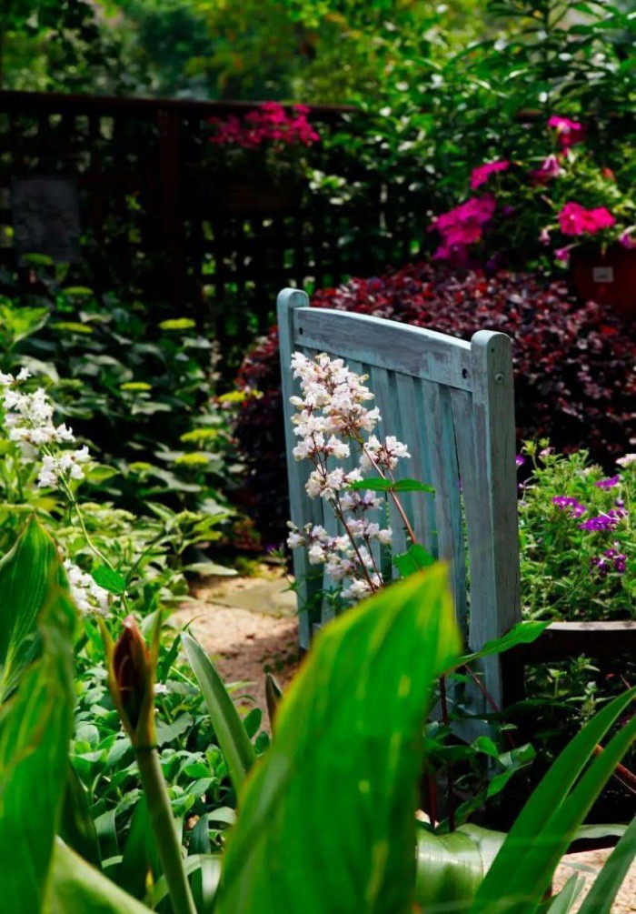 Thiết kế và thi công khu vườn sẽ không tốn nhiều chi phí nhưng lại tốn khá nhiều thời gian và công sức. Sự tận tâm và yêu thiên nhiên ấy sẽ là động lực để cô gái trẻ yêu thích việc thiết kế vườn, một công việc mới mẻ sau 10 năm chăm sóc cho khu vườn của chính mình.