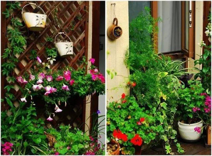 Lối vào nhà được bố trí trồng hoa.