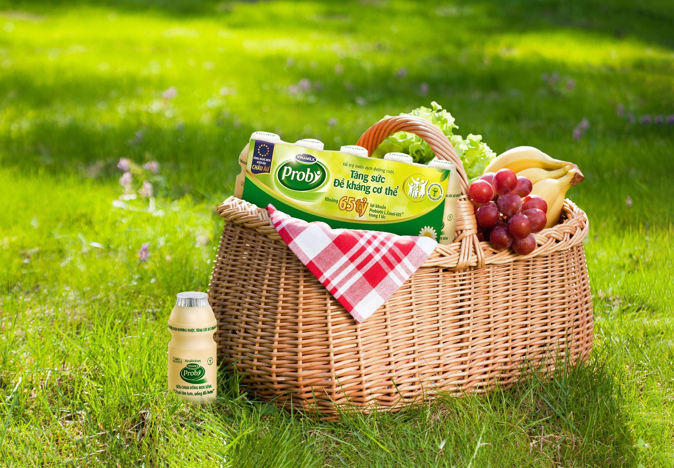 Khám phá “bí mật” các mẹ phương Tây áp dụng để tăng cường đề kháng cho cả gia đình - Ảnh 7. Khám phá “bí mật” các mẹ phương Tây áp dụng để tăng cường đề kháng cho cả gia đình - Ảnh 7.