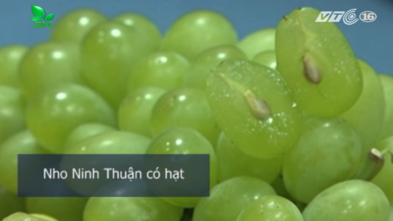 Ăn nho xanh không hạt: Đừng ham rẻ vì ảnh hưởng sức khỏe! - Ảnh 3. Ăn nho xanh không hạt: Đừng ham rẻ vì ảnh hưởng sức khỏe! - Ảnh 3.