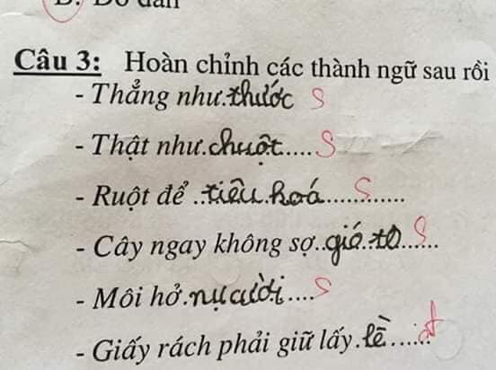 Bài kiểm tra thành ngữ của học sinh cấp một: Cây ngay không sợ… cọp, môi hở hàm ếch - Ảnh 6.