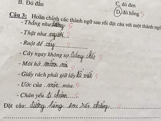 Bài kiểm tra thành ngữ của học sinh cấp một: Cây ngay không sợ… cọp, môi hở hàm ếch - Ảnh 7.