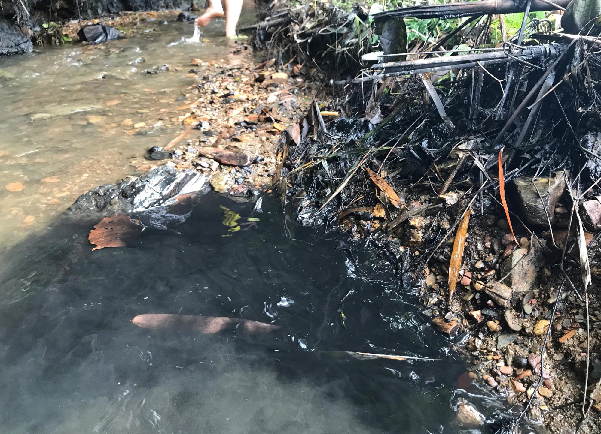 Vụ nước có mùi hôi ở Hà Nội: Viwasupco đã “qua mặt” khách hàng như thế nào? - Ảnh 2. Vụ nước có mùi hôi ở Hà Nội: Viwasupco đã “qua mặt” khách hàng như thế nào? - Ảnh 2.