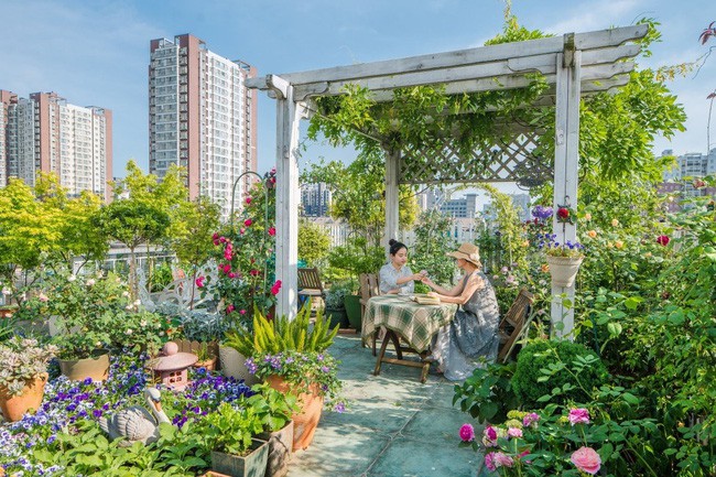 Tận dụng mái nhà bỏ hoang, người phụ nữ 45 tuổi đã biến toàn bộ không gian thành khu vườn địa đàng - Ảnh 2. Tận dụng mái nhà bỏ hoang, người phụ nữ 45 tuổi đã biến toàn bộ không gian thành khu vườn địa đàng - Ảnh 2.