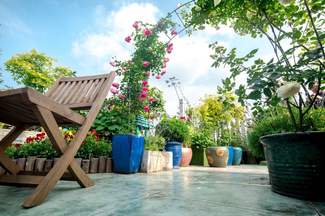 Tận dụng mái nhà bỏ hoang, người phụ nữ 45 tuổi đã biến toàn bộ không gian thành khu vườn địa đàng - Ảnh 13. Tận dụng mái nhà bỏ hoang, người phụ nữ 45 tuổi đã biến toàn bộ không gian thành khu vườn địa đàng - Ảnh 13.