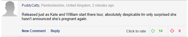 Meghan Markle bị chỉ trích là lố bịch khi dùng con trai Archie để chiếm sóng chuyến đi công du của chị dâu Kate - Ảnh 3. Meghan Markle bị chỉ trích là lố bịch khi dùng con trai Archie để chiếm sóng chuyến đi công du của chị dâu Kate - Ảnh 3.