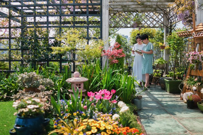 Tận dụng mái nhà bỏ hoang, người phụ nữ 45 tuổi đã biến toàn bộ không gian thành khu vườn địa đàng - Ảnh 8. Tận dụng mái nhà bỏ hoang, người phụ nữ 45 tuổi đã biến toàn bộ không gian thành khu vườn địa đàng - Ảnh 8.