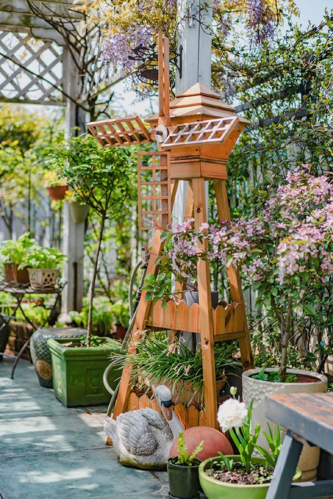 Tận dụng mái nhà bỏ hoang, người phụ nữ 45 tuổi đã biến toàn bộ không gian thành khu vườn địa đàng - Ảnh 9. Tận dụng mái nhà bỏ hoang, người phụ nữ 45 tuổi đã biến toàn bộ không gian thành khu vườn địa đàng - Ảnh 9.