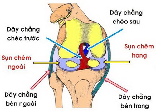 Mắc các dấu hiệu sau đây cần đi khám bệnh lý khớp gối ngay - Ảnh 2.