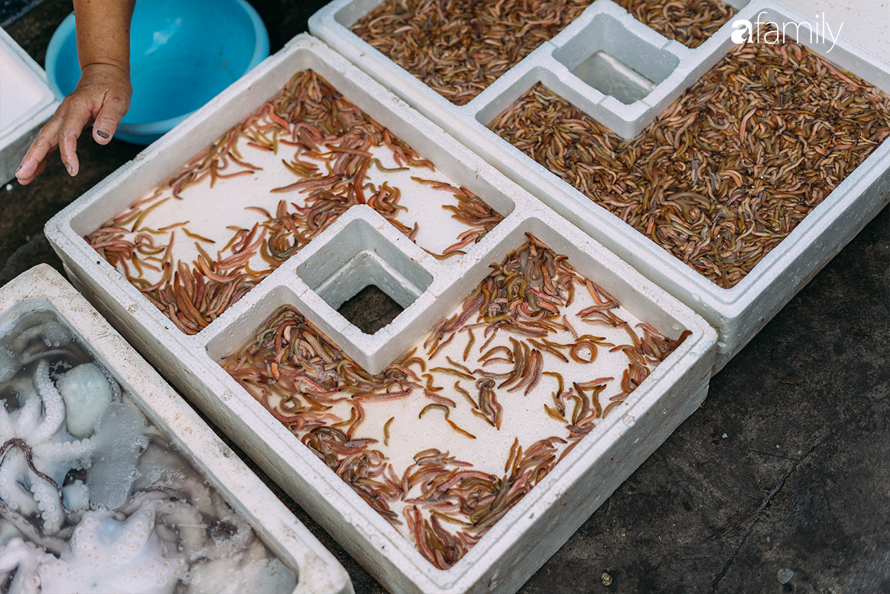 Rươi - báu vật ruộng đồng và văn hóa đi ăn rươi đi mỗi khi lạnh trời của người Hà Nội - Ảnh 2. Rươi - báu vật ruộng đồng và văn hóa đi ăn rươi đi mỗi khi lạnh trời của người Hà Nội - Ảnh 2.