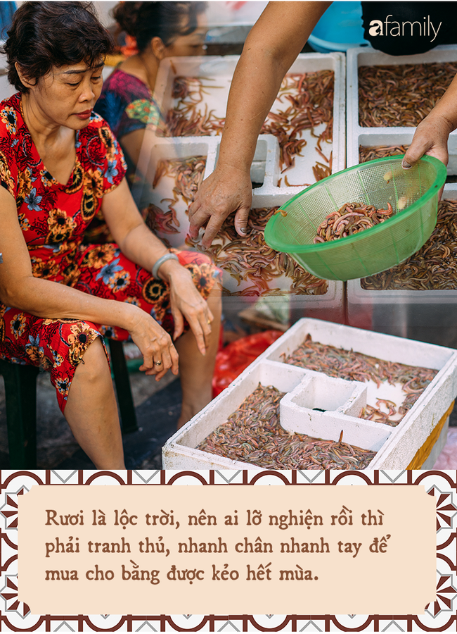 Rươi - báu vật ruộng đồng và văn hóa đi ăn rươi đi mỗi khi lạnh trời của người Hà Nội - Ảnh 4. Rươi - báu vật ruộng đồng và văn hóa đi ăn rươi đi mỗi khi lạnh trời của người Hà Nội - Ảnh 4.