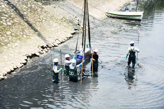 Tháo dỡ hệ thống làm sạch sông Tô Lịch, di chuyển đàn cá Koi sang Hồ Tây - Ảnh 4.