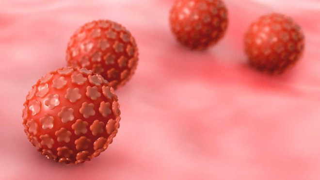Sốc vì con học mẫu giáo đã nhiễm virus có thể gây ung thư và thường lây qua đường tình dục - Ảnh 1. Sốc vì con học mẫu giáo đã nhiễm virus có thể gây ung thư và thường lây qua đường tình dục - Ảnh 1.