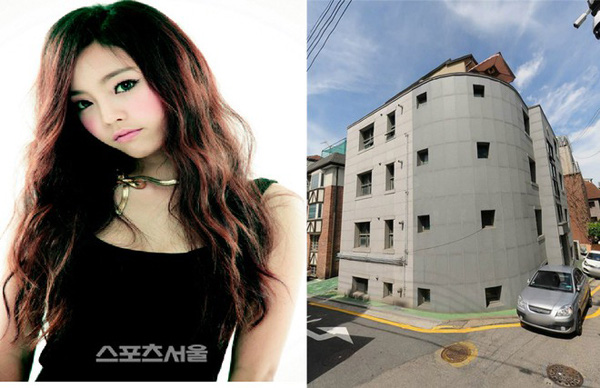 Tài sản khổng lồ của Goo Hara - nữ ca sĩ Hàn Quốc trẻ đẹp vừa tự tử tại nhà riêng - Ảnh 3.