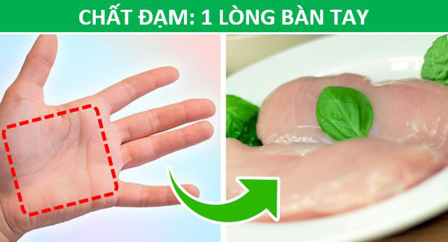 Mẹo hay: Xác định lượng thức ăn phù hợp với cơ thể chỉ bằng…bàn tay - Ảnh 2.
