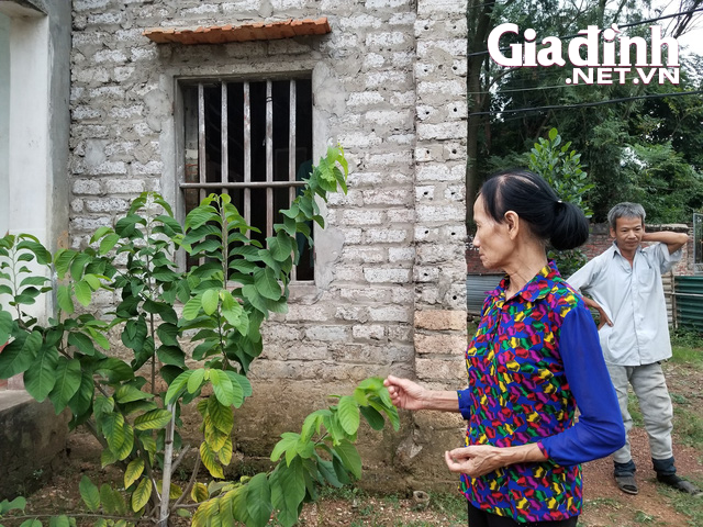 Cụ bà 73 tuổi một mình nuôi con tật nguyền ở Bắc Giang xin ra khỏi hộ nghèo - Ảnh 4.