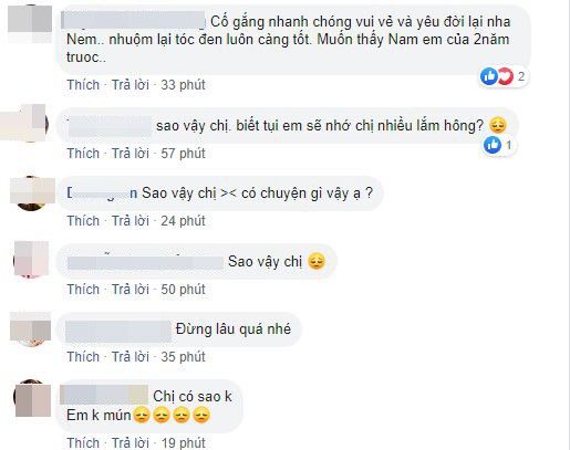 Nam Em tuyên bố ngừng sử dụng Facebook một thời gian dài - Ảnh 2.