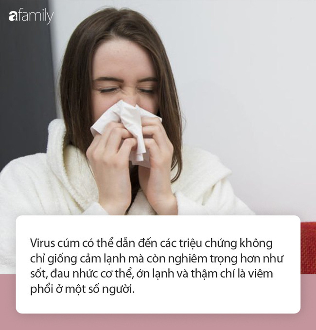 Những bí quyết giúp bạn có thể vượt qua mùa cảm cúm và cảm lạnh dễ dàng - Ảnh 1. Những bí quyết giúp bạn có thể vượt qua mùa cảm cúm và cảm lạnh dễ dàng - Ảnh 1.