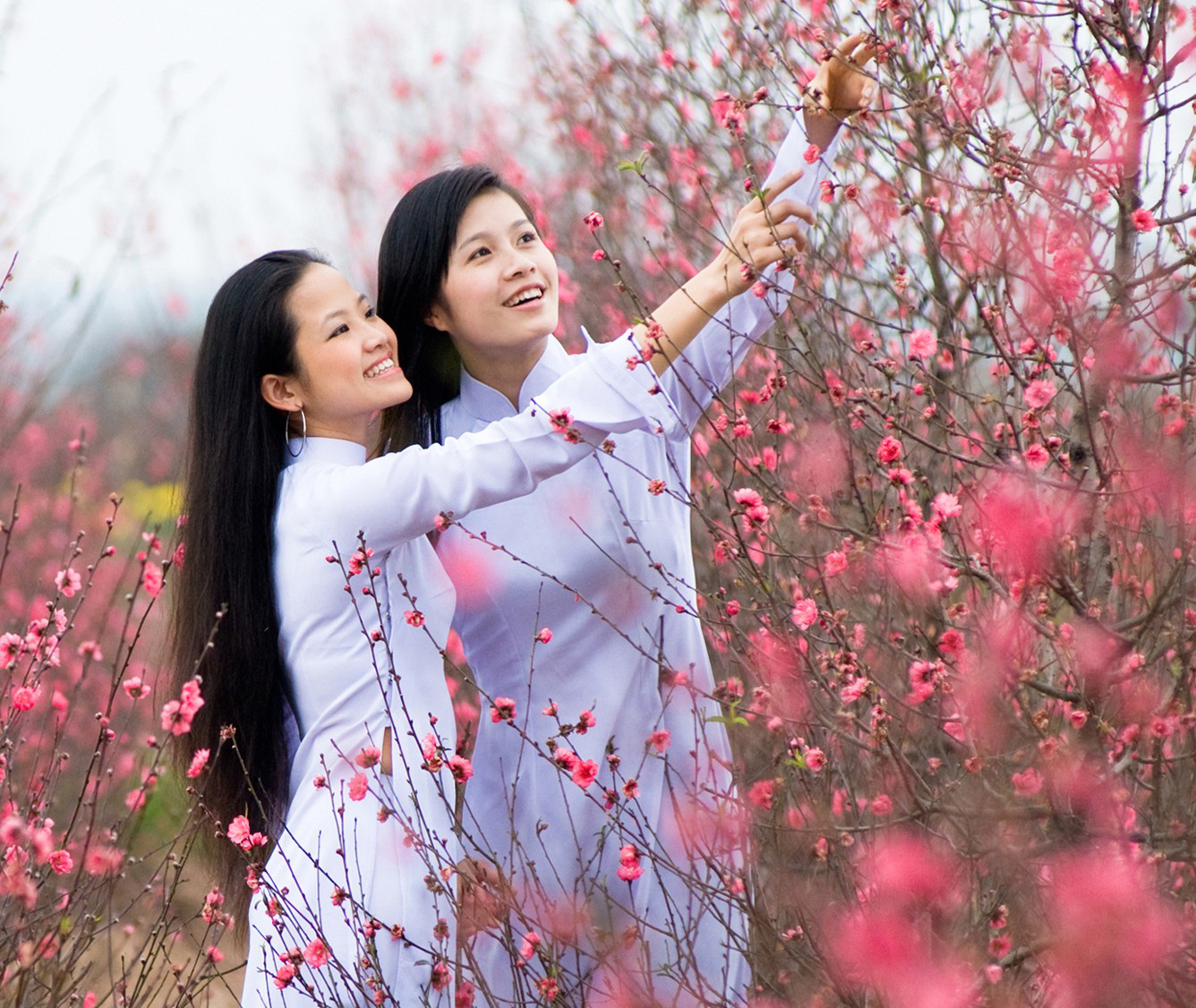 Người lao động cần biết: Lịch nghỉ Tết chính thức, chế độ lương, thưởng, làm thêm giờ Tết Dương lịch 2020 - Ảnh 2. Người lao động cần biết: Lịch nghỉ Tết chính thức, chế độ lương, thưởng, làm thêm giờ Tết Dương lịch 2020 - Ảnh 2.