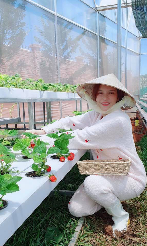 Hậu chia tay, Lý Nhã Kỳ tìm bình yên bên căn nhà đầy hoa hồng ở Đà Lạt - Ảnh 6.