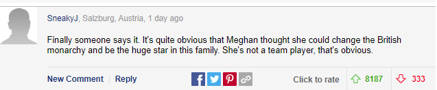 Meghan Markle bất ngờ bị cáo buộc biến gia đình nhà chồng thành chương trình truyền hình cá nhân, Hoàng tử Harry là kẻ ngốc - Ảnh 3.