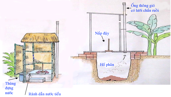 Xây dựng nhà tiêu hợp vệ sinh để bảo vệ sức khỏe cho cả gia đình - Ảnh 3.