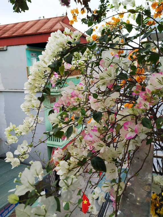 Ngôi nhà 5 tầng đầy hoa thơm phủ kín khắp các ban công của ông bố hai con ở Hà Nội - Ảnh 19.