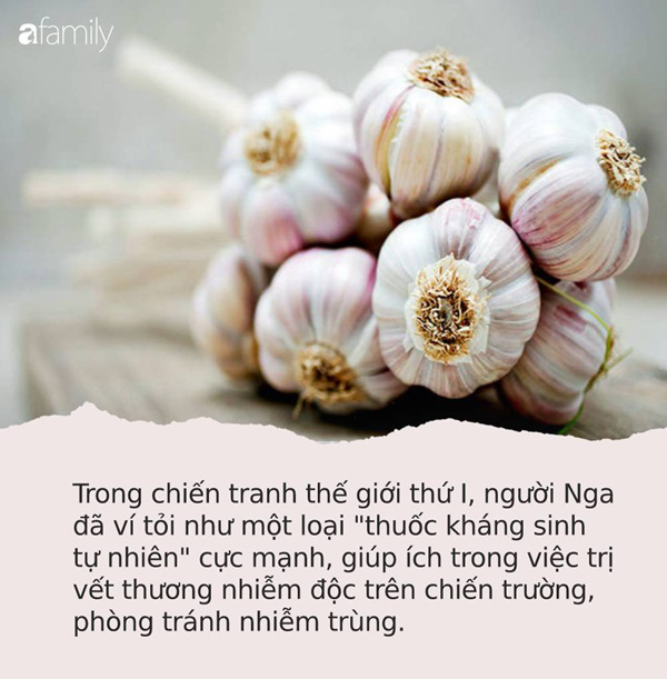 Tỏi là “thuốc kháng sinh tự nhiên” được cả thế giới trân trọng nhưng 7 nhóm người này thì cần phải tuyệt đối tránh - Ảnh 1.