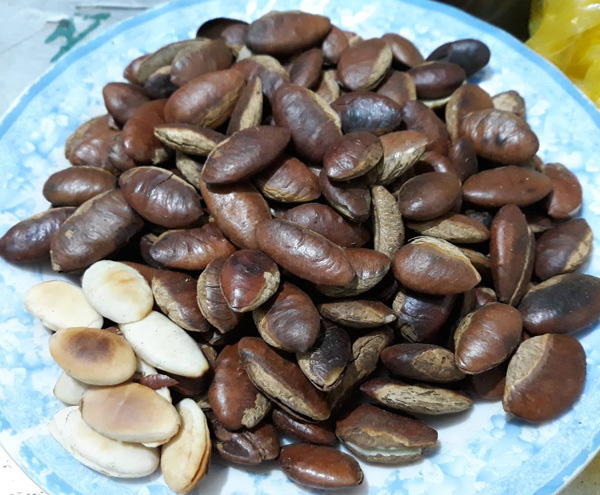 Ăn hạt Kơnia, H&agrave; th&agrave;nh đua nhau mua đồ rừng đ&atilde;i kh&aacute;ch ng&agrave;y Tết - Ảnh 2.