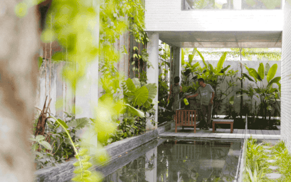 Ngôi nhà nhỏ trong lành và duyên dáng với cây xanh thân thiện của cặp vợ chồng mới cưới ở TP. Đà Nẵng - Ảnh 2.