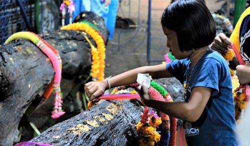 
Người dân dùng điện thoại chụp lại những dấu hiệu thần mách để về nhà nghiên cứu số - Ảnh: Tibor Krausz.
