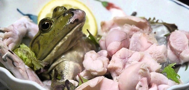 Sashimi ếch và sinh tố ếch sống thách thức sự can đảm của thực khách